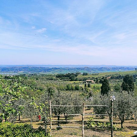 La Casina Di Colle - Appartamento Rustico Sulle Colline Di Pisa Casciana Terme Exterior photo